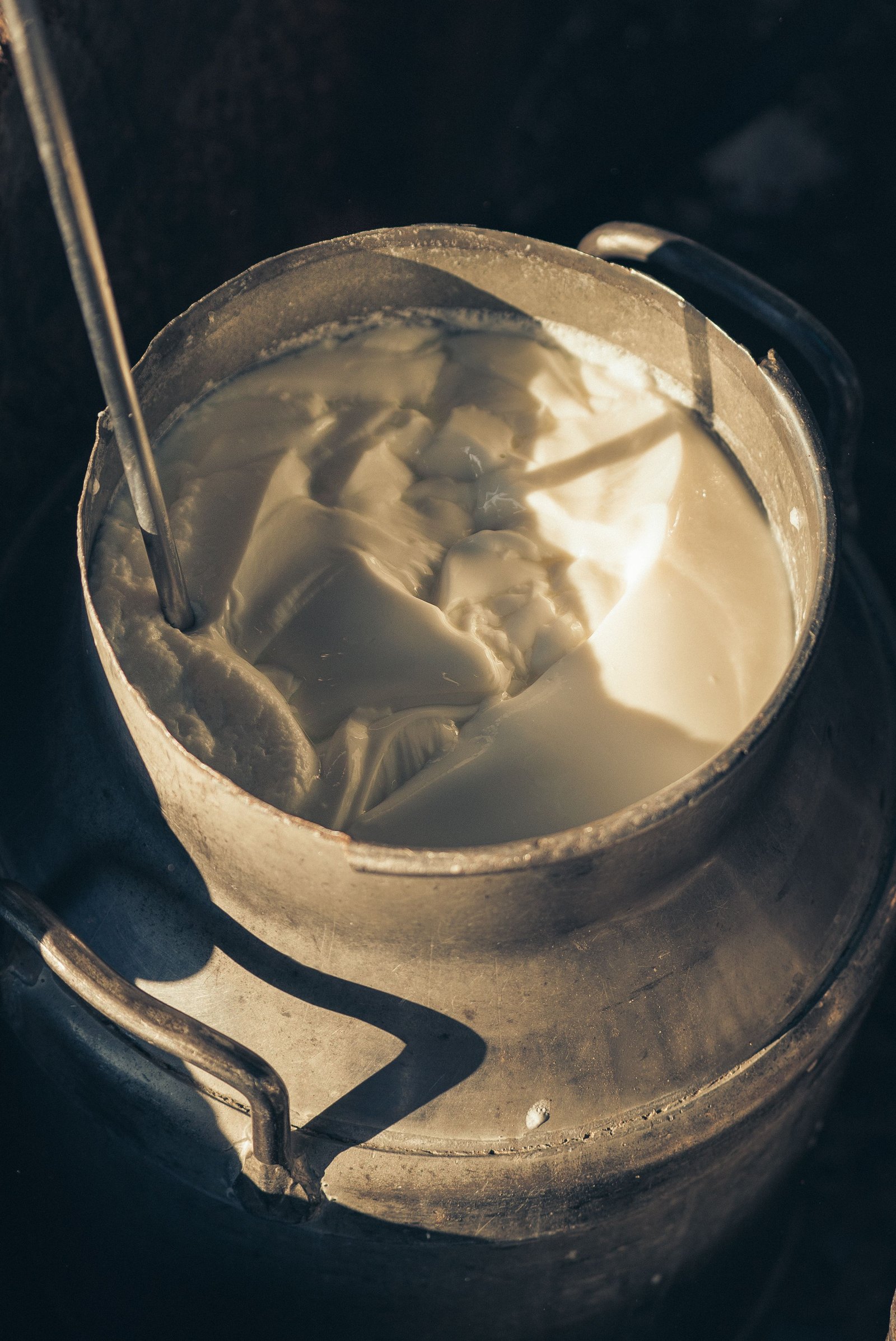 Fresh milk bottling